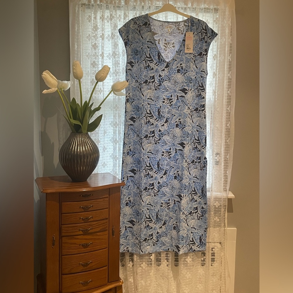 Lilly Pulitzer Blue and White Floral Maxi Dress